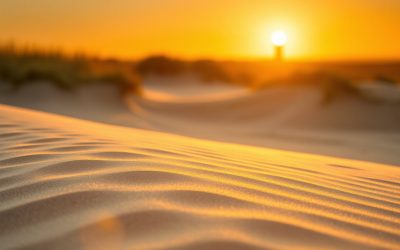 Texel verkennen: lokale helden, lekkernijen en natuurervaringen